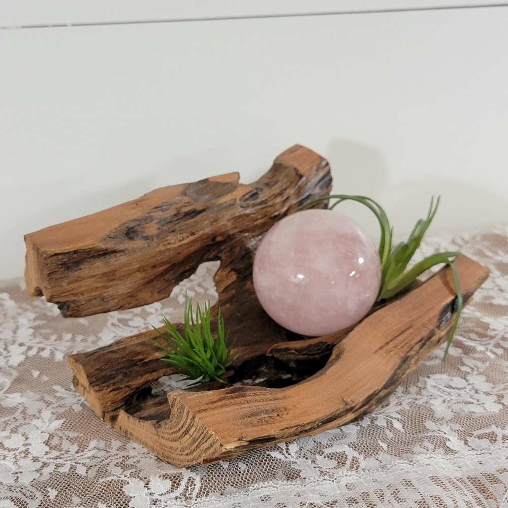 Natural hollow wood Sculpture Crystal Air Plant Holder Rustic Home Decor
